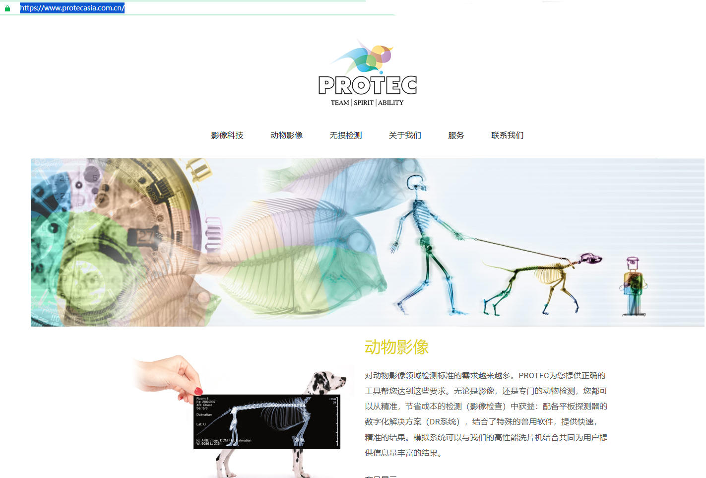 洗片机 工业洗片机